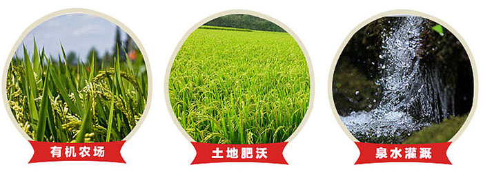 大米二維碼防偽追溯系統