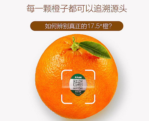 農(nóng)夫山泉17.5°橙,每一顆橙子都可追溯源頭